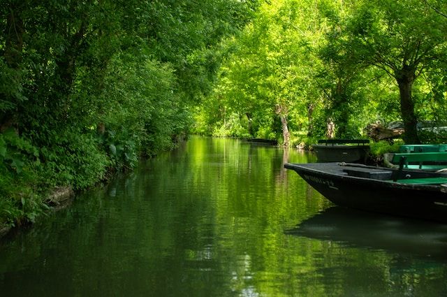 marais poitevin.jpg
